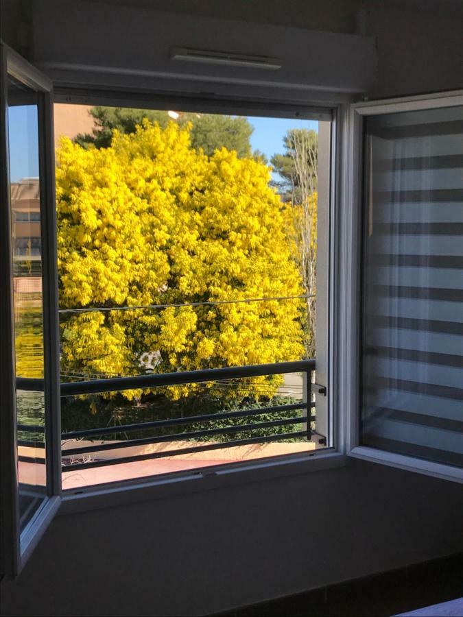 Appart' Au Port Appartement Fréjus Buitenkant foto